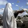 Haley Fatima - @haleyfatima1010 - TikTok