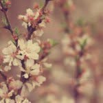 فاطِمة علوي - @fatimahallwi - Instagram