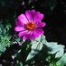 Fatima Hall - Facebook