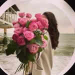 Fatima Hallak - @_fatima__hallak - Instagram