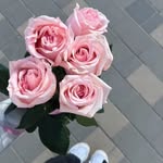 . - @fatimahallak2005 - Instagram
