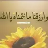 فاطمة حمدان - @fatimahamdan28 - TikTok