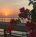 Fatima Hamdan - Facebook