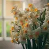 Fatima Hamdan - @fatima.hamdan69 - TikTok