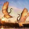 Fatima Hamwi - @fatima.hamwi0 - TikTok