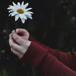 Fatima Hamwiya - @fatima_hamwiya - Instagram