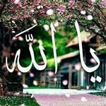 Fatima Hamze - @f.hamze - Instagram