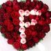 Fatima Hamze - Facebook