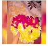 Hayaت_Fatima🌟 - @hayat_fatima01 - TikTok