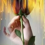 Harmain Fatima - Facebook