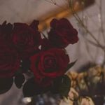 Fatima Halli - @fatima_hilli - Instagram