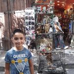 Fatima Hill - @fatimahill32 - Instagram