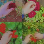 Fatima Hillal - @fatima.hillal.980 - Instagram