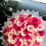 Fatima Ho - Facebook