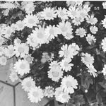 otim fatimah - @fatimah_otim - Instagram