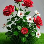 Fatima Imam - Facebook