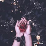 Fatima Imam - @fatimaimam91 - Instagram