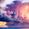Fatima Imam - @fatima.imam69 - TikTok