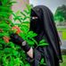Fatima Islam - Facebook
