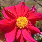 Fatima Jacinto - Facebook
