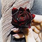 Fatima jamali . 29 - @fatimajamali.29 - Instagram