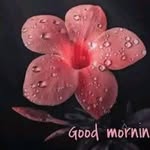 Fatima Kanu - @fatimakanu8 - Instagram