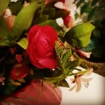 Fatima Kasem - @fatima_kasem123 - Instagram