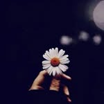 Fatima Kasem - @fatimakasem7 - Instagram