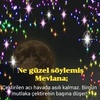 Fatima Kaya - @fatimakaya3 - TikTok