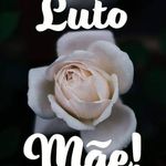 Fátima De Mello Keller - @fatima.mkeller - Instagram