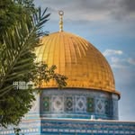 Fatima Khalifa - @fatimakhalifa5175 - Instagram
