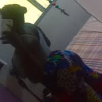 Fatima King👑 - @fatimaking9331 - Instagram