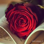 Fatima - @fatima_kirk95 - Instagram