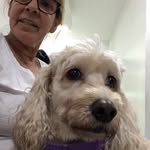 Fatima Maria De Lira Rolim - @fatimamariadelira - Instagram