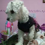 Fátima Mariscal López Cruz - @fatimamariscallopezcruz - Instagram