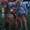 🐴Fatima🌷 - @fatima_marquez17 - TikTok