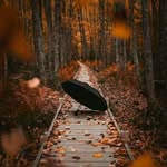 Fatima Mayo - @fatima.mayo.39904 - Instagram