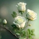 Fatima Mayo - Facebook