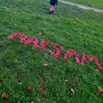 Fatima Brahim - @fatima_maysam_ - Instagram