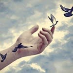 Fatima Meer Mlhem - @_fatima_meer_mlhem - Instagram