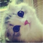meredith - @meredith_fatima - Instagram