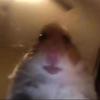 ᴍɪᴀ! - @fatimamiaaa - TikTok