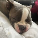 Fatima Miller - @millyy9 - Instagram