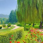 Fatima Mir - Facebook