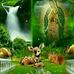 Fatima Moran - Facebook