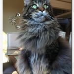 Fatima Morrison - @fatima.morrison.73 - Instagram