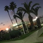 Fatima Mossadek - @fatimamossadek - Instagram