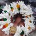 Fatima Khokhar - Facebook