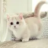 Fatima mount  - @fatima0224 - TikTok