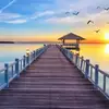 Fatima Mumin - @fatima.mumin6 - TikTok